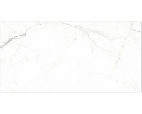 Carreau mural ou de sol aspect marbre avec veinage gris