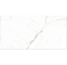 Carreau en grès cérame aspect marbre avec veines grises pour mur et sol.