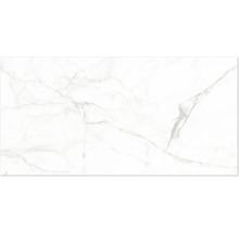 Carreau blanc aspect marbre avec veinures grises.