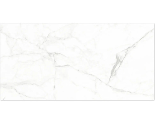 Carreau blanc aspect marbre avec veinures grises.