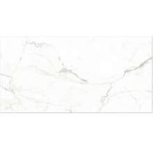 Carreau en grès cérame aspect marbre avec veines grises.