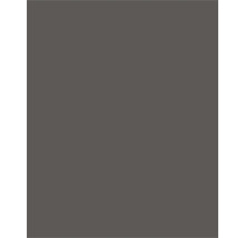 Échantillon de couleur gris foncé pour peintures murales et vernis.