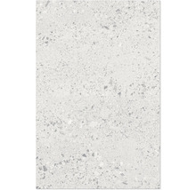 Carreau de sol ou de mur avec aspect terrazzo et fines inclusions de pierre.