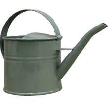 Arrosoir gris en métal avec poignée et long bec verseur.