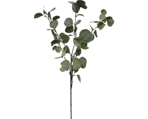 Branche d'eucalyptus artificielle avec plusieurs rameaux et feuilles vertes rondes.