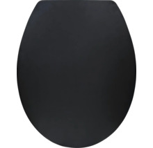 Abattant de WC noir, forme ovale, couvercle fermé.