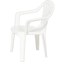 Chaise de jardin blanche en plastique avec accoudoirs et dossier à lattes.