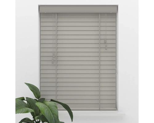Store vénitien gris avec galons larges dans un cadre de fenêtre, atmosphère lumineuse et ordonnée avec une plante d'intérieur.