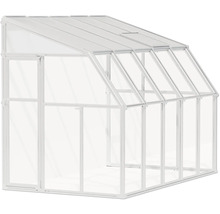 Anlehngewächshaus mit weißem Aluminiumrahmen, transparenten Scheiben und einem Dachfenster.