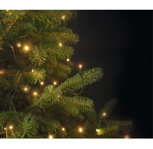 Nahaufnahme von grünen Tannenzweigen mit einer warmweißen LED-Lichterkette.