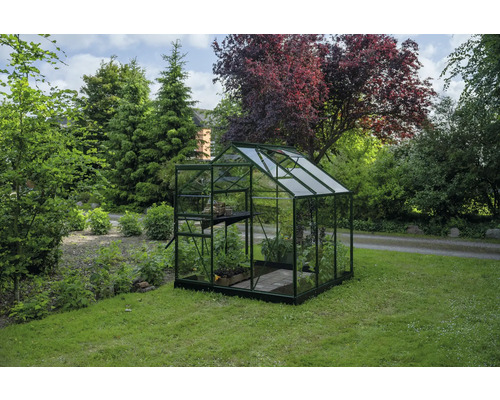 Serre classique avec cadre en aluminium vert foncé et parois en verre transparent dans un jardin arboré.
