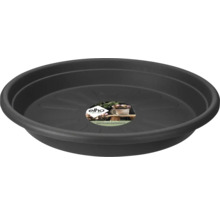 Elho Untersetzer für Pflanztöpfe aus recyceltem Kunststoff, rund.