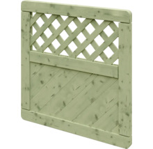 Schräges Sichtschutzelement aus kesseldruckimprägniertem Holz mit Rankgitter und diagonalen Lamellen.