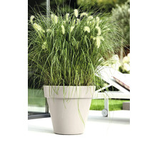 Beigefarbener runder Pflanztopf mit hohem grünem Ziergras auf einer hellen Terrasse neben einer Gartenliege.