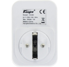 Vue arrière d une fiche intermédiaire Kangtai modèle 55085 avec données techniques 230 Volt et 16 Ampères, marquage CE et symbole de recyclage.