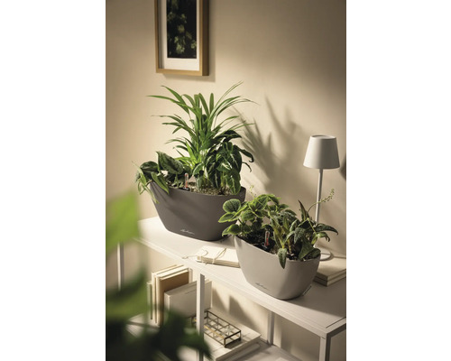 Deux jardinières ovales Lechuza avec des plantes d'intérieur vertes sur une étagère blanche dans une pièce lumineuse au design moderne.