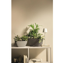 Deux jardinières ovales Lechuza avec des plantes d'intérieur et une petite lampe de table sur une étagère dans un intérieur clair et organisé.