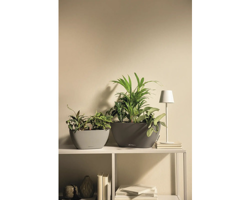Deux jardinières ovales Lechuza avec des plantes d'intérieur et une petite lampe de table sur une étagère dans un intérieur clair et organisé.