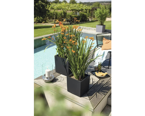 Deux jardinières carrées anthracite avec des fleurs orange sur une terrasse en bois à côté d'une piscine dans un jardin.