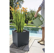 Une personne arrose une plante dans un bac à fleurs carré gris foncé avec un arrosoir vert sur une terrasse au bord d une piscine.