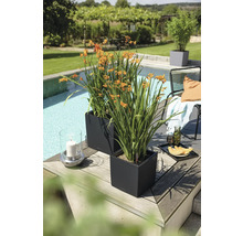 Deux jardinières carrées anthracite avec des fleurs orange sur une terrasse en bois à côté d'une piscine dans un jardin.