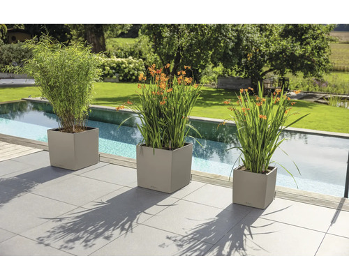 Trois bacs à fleurs carrés sur une terrasse au bord de la piscine avec du bambou et des fleurs orange dans un jardin.