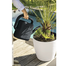 Une personne arrose avec un arrosoir un palmier dans un bac à fleurs sur une terrasse en bois à côté d'une piscine.