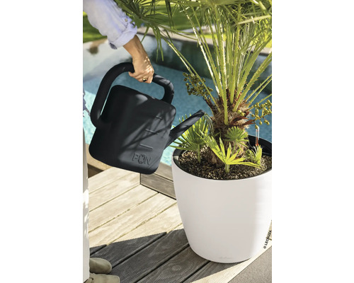 Une personne arrose avec un arrosoir un palmier dans un bac à fleurs sur une terrasse en bois à côté d'une piscine.