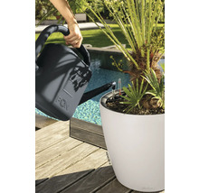 Arrosage d une plante dans un pot Lechuza blanc avec un arrosoir anthracite sur une terrasse en bois au bord d une piscine.