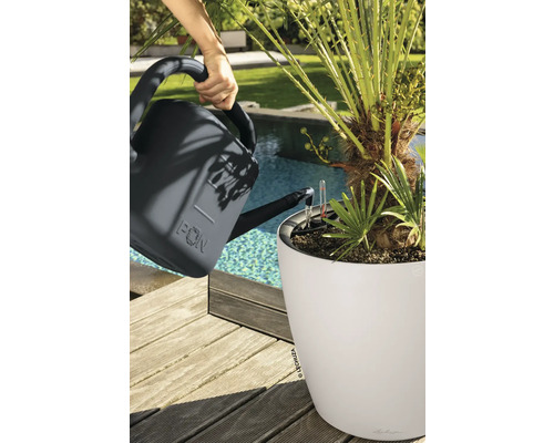 Arrosage d une plante dans un pot Lechuza blanc avec un arrosoir anthracite sur une terrasse en bois au bord d une piscine.