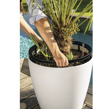 Une personne soulève un bac avec un palmier d'un pot de fleurs rond blanc avec système d'arrosage dans un espace extérieur lumineux.