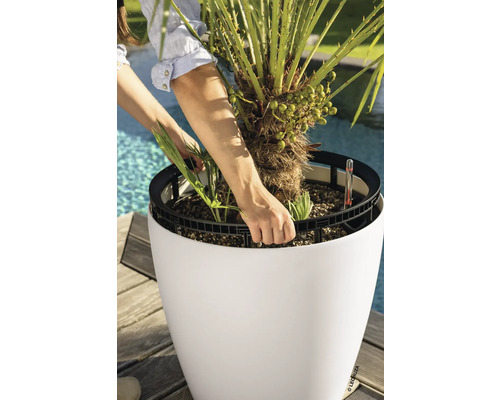 Une personne soulève un bac avec un palmier d'un pot de fleurs rond blanc avec système d'arrosage dans un espace extérieur lumineux.