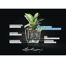 Infografik zum Lechuza-Aqua Bewässerungssystem mit Wasserstandsanzeiger, Einfüllschacht, Überlaufschraube, PON und Wasserspeicher. Lechuza Logo.