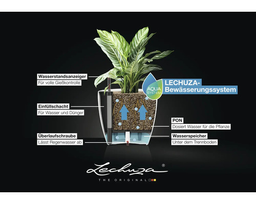 Infografik zum Lechuza-Aqua Bewässerungssystem mit Wasserstandsanzeiger, Einfüllschacht, Überlaufschraube, PON und Wasserspeicher. Lechuza Logo.