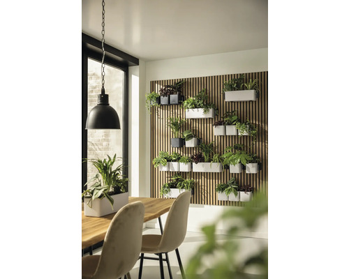 Jardin vertical sur un mur en lattes de bois avec diverses plantes d'interieur dans des pots blancs et gris dans une piece lumineuse.