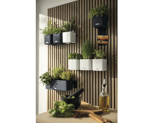 Jardin vertical avec pots avec Lechuza Logo sur un mur en tasseaux de bois dans une cuisine lumineuse et organisée.