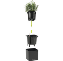 Vue éclatée d un système d auto-arrosage Lechuza avec plante, mèche, bac d arrosage et indicateur de niveau d eau dans un pot noir.