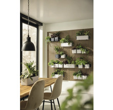 Jardin vertical sur un mur en lattes de bois avec diverses plantes d'interieur dans des pots blancs et gris dans une piece lumineuse.