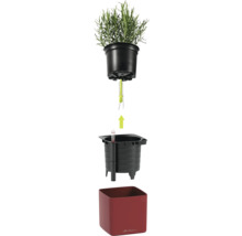 Vue éclatée d un système d arrosage Lechuza avec pot à herbes, mèche, insert végétal avec indicateur de niveau d eau et cache-pot rouge.