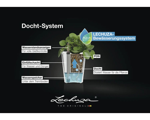 Querschnitt des Lechuza Docht-Bewässerungssystems mit Anzeige, Einfüllschacht, Wasserspeicher, PON-Substrat und Docht. Lechuza Logo.