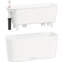 Bac d'arrosage Lechuza avec indicateur de niveau d'eau et jardinière en plastique assortie.