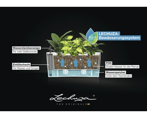 Querschnitt Lechuza Blumenkasten mit Aqua Bewässerungssystem, Wasserstandsanzeiger, Einfüllschacht, Substrat, Wasserspeicher und Lechuza Logo