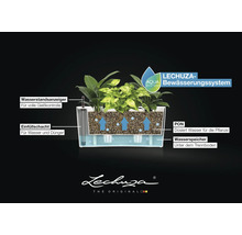 Querschnitt Lechuza Aqua Bewässerungssystem mit Wasserstandsanzeiger, Einfüllschacht, Substrat PON, Wasserspeicher und Lechuza Logo.