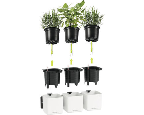 Système pour herbes Lechuza avec arrosage par mèche, inserts noirs avec indicateur de niveau d'eau et pots muraux blancs.