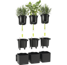 Système d'arrosage modulaire Lechuza pour herbes avec pots de culture, système à mèche, indicateurs de niveau d'eau et bacs extérieurs noirs.