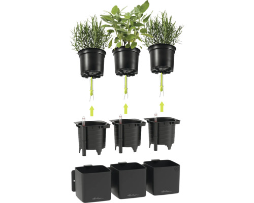 Système d'arrosage modulaire Lechuza pour herbes avec pots de culture, système à mèche, indicateurs de niveau d'eau et bacs extérieurs noirs.