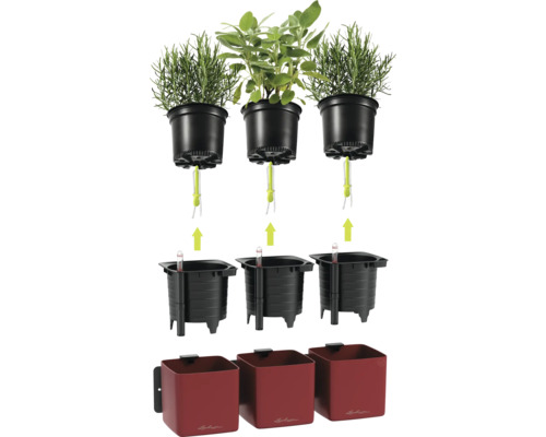 Système de pots à herbes Lechuza avec arrosage par mèche, comprenant trois bacs rouges, des inserts avec indicateur de niveau d'eau et des mèches.