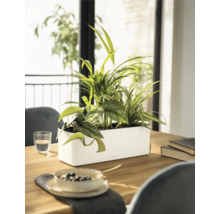 Jardinière Lechuza blanche en plastique avec des plantes d intérieur sur une table en bois clair dans une pièce lumineuse et moderne.