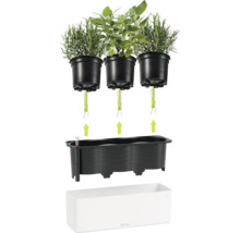 Jardinière à herbes Lechuza avec système d'arrosage automatique, mèche d'irrigation, indicateur de niveau d'eau et trois pots.
