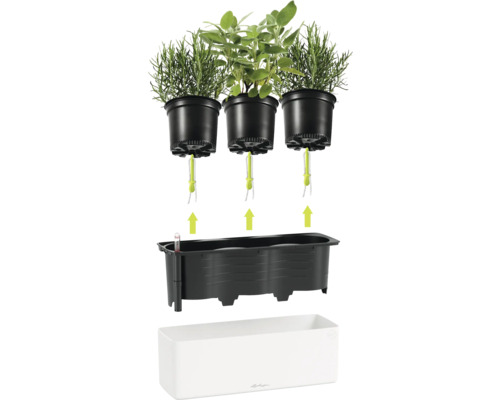 Jardinière à herbes Lechuza avec système d'arrosage automatique, mèche d'irrigation, indicateur de niveau d'eau et trois pots.